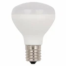 Westinghouse Lighting 4515500 Bulb. Fixed Price $15.19.
