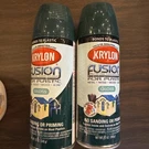 X Krylon 2324 Gloss Hunter Green Fusion For Plastic Aerosol Spray Paint 12-OZ. Fixed Price $29.99.