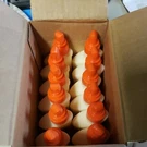 Elmers 4OZ Carpenters Wood Glue E7000 Case 12 Pack Interior New. Fixed Price $23.00.