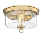 Westinghouse 6128600 Lebanon Light 12"W Flush Mount Drum - Brass. Fixed Price $96.70.