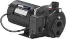 New Wayne CWS75 3/4 Hp Deep Well Jet Pump 120/240 Volt Usa Made Sale 6173611. Fixed Price $334.99.