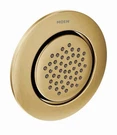 Moen TS1322BG Mosaic 3.25 In. Body Jet Brushed Gold With Adjustable Angle. Fixed Price $159.95.