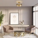 Classy Leaves Semi Flush Mount Ceiling Light Modern Gold Fixture. Fixed Price $52.87.