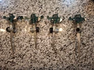 Orbit Adjustable Impact Sprinkler On Zinc Spiked Base 58019N Qty 4 , Used. Fixed Price $24.99.