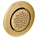 Moen TS1322BG Brushed Gold Body Spray. Fixed Price $271.89.