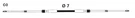 Uflex Universal 33C Control Cable - Mach. Fixed Price $50.39.