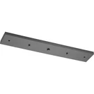 Progress Lighting P8404 Graphite Point 23-1/4"W Pendant Suspension Canopy. Fixed Price $41.00.