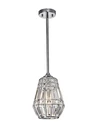 Warehouse Of Tiffany Trazi 1-LIGHT Crystal Ceiling Pendant Lamp HM115/1. Fixed Price $39.84.