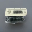 New Vintage Antique Drapery Rod Co Neutral Clip Rings Set 12 Verdi Clamp Pinch. Fixed Price $28.88.