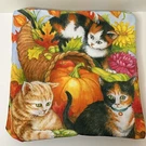 Toland Cat Pillow Covers. Fixed Price $15.00.