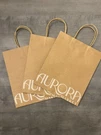 Epic Universe Helios Grand Aurora Market (3) Heavy Paper Shopping Bags. Fixed Price $29.99.