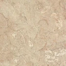 Laminate Sheet 4FT X 8FT Scratch Stain Resistant Beige Matte Finish Modern Home. Fixed Price $87.77.