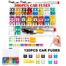 306PCS Car Kit - Auto Fuses With Tester & Puller. Fixed Price $17.99.