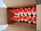 Elmers 4OZ Carpenters Wood Glue E7000 Case 12 Pack Interior New. Fixed Price $18.90.