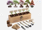 Avergo Bonsai Kit 5X Unique Japanese Bonzai Trees Complete Indoor. Fixed Price $24.99.