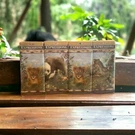 Safari Expressions Jungle Babies Wallpaper Self Adhesive Border 5 Yards Lot Of 4. Fixed Price $39.99.