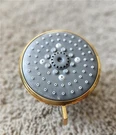 Grohe 26043GN1 Tempesta 100 4-SPRAY Shower Head Brushed Cool Sunrise Read. Fixed Price $20.00.