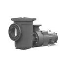 Pentair Eqk Series Commercial 15 Hp 3 Phase Pool Pump With Strainer. Fixed Price $8892.00.