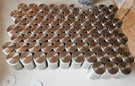 Crl ACSB1122BS Brushed Stainless 2" Glass Standoffs + Caps Lot 80. Fixed Price $89.99.