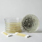 ** New Home Mold Kit 10-PACK Air & Surface Testing Easy Use. Fixed Price $20.99.