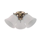 Westinghouse Lighting 7784800 Three Led Cluster Ceiling Fan Kit, Antiqu.... Fixed Price $79.67.