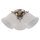 Westinghouse 7784800 Three Led Cluster Ceiling Fan Light Kit, 1 Pack, White. Fixed Price $80.99.