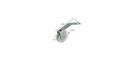 Crl 1" Nylon Sliding Screen Spring Tension Roller For Academy. Fixed Price $7.14.