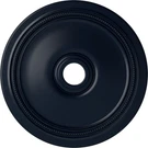 Ceiling Medallion Od Hand Painted Midnight Dream CM24DIMDF Ekena Millwork. Fixed Price $124.99.