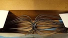 Mcgill Gripon Lamp Guard, 22002200A (lot Of 4). Fixed Price $33.60.