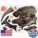 Jurassic World Fallen Kingdom T-rex Giant Peel And Stick Wall Decals By. Fixed Price $33.65.