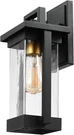 60000028 1-LIGHT Outdoor Wall Sconce, Matte Black, Brass Accent, Clear Seeded Gl. Fixed Price $95.99.