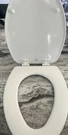 Church 585EC 346 Toilet Seat With Easy Clean & Change Hinge Elongated. Fixed Price $17.95.