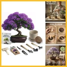 Avergo Bonsai Starter Kit Growing Jacaranda Bonzai Tree Complete Indoor. Fixed Price $29.79.