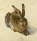 Ceramic Backsplash Tile Mural Renaissance Fine Art - Young Hare/hase/rabbit. Fixed Price $192.00.